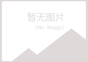 惠阳女孩能源有限公司